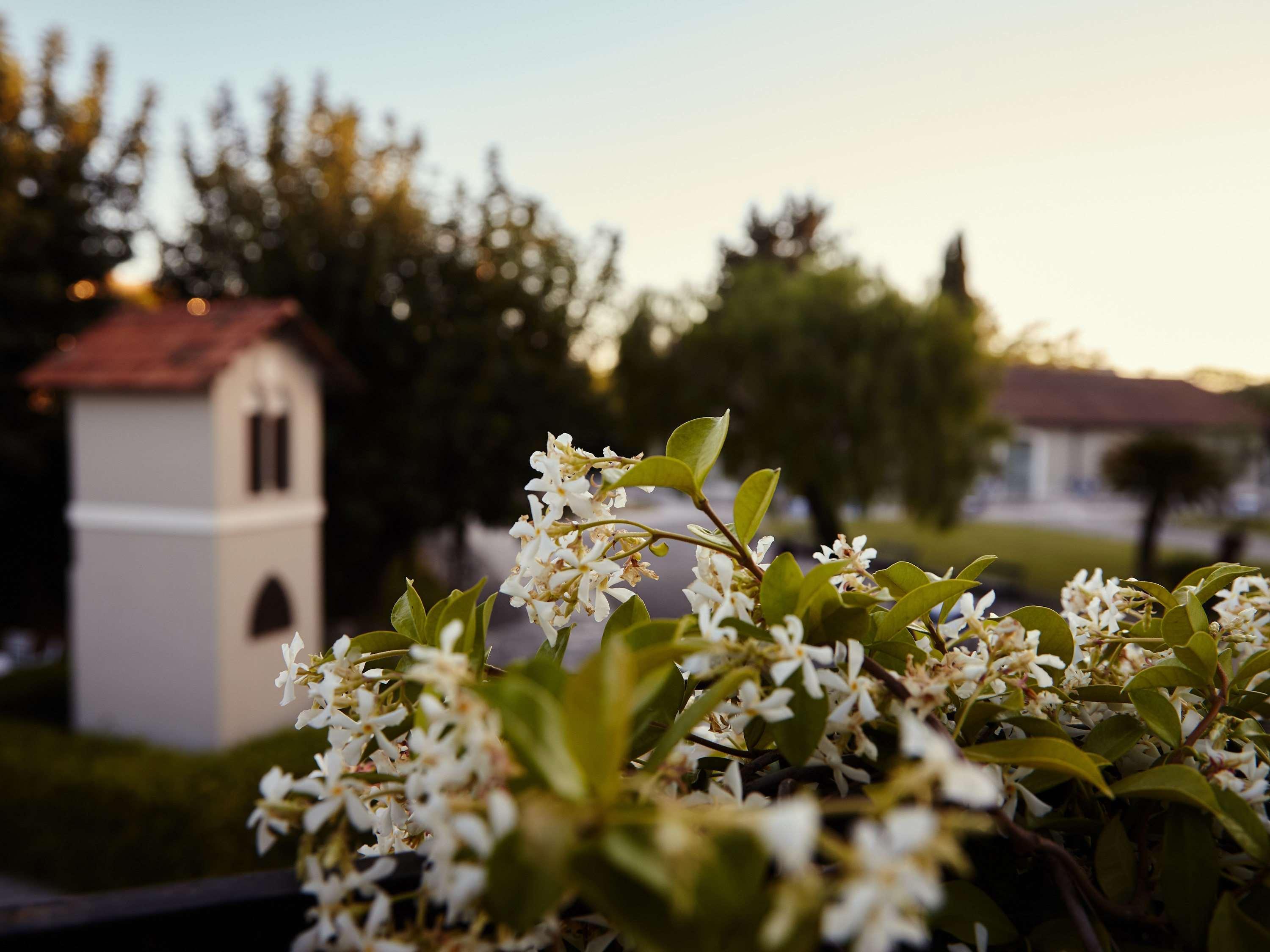 Mercure Villa Romanazzi Carducci Bari Eksteriør billede